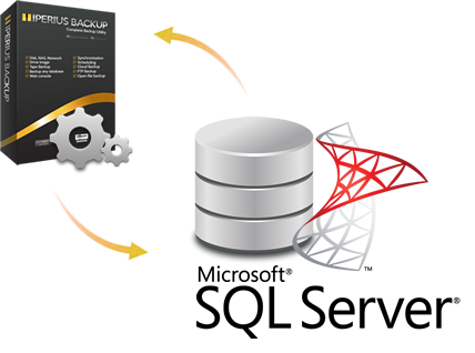 بک آپ گیری در sql server