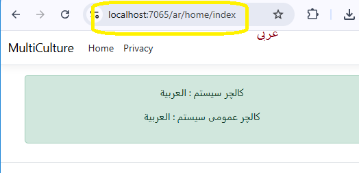 تغییر زبان سایت به عربی در asp.net core