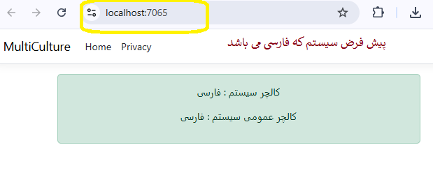 تغییر زبان و culture در asp.net core